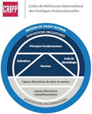 Cadre de Référence International des Pratiques Professionnelles (CRIPP)