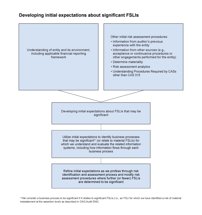 Developing initial expectations about significant FSLI