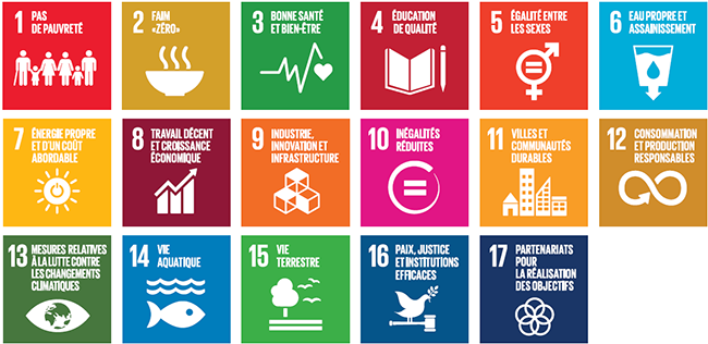 Les Objectifs de développement durable des Nations Unies